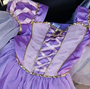 Disney Purple and Gold Kids Costume